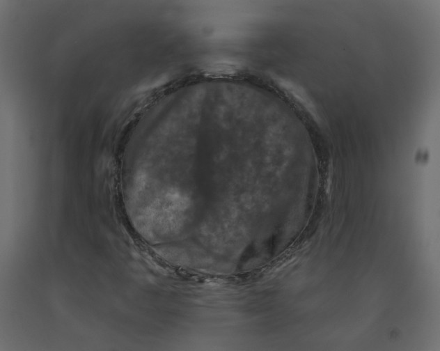 X0000092081445200710101030