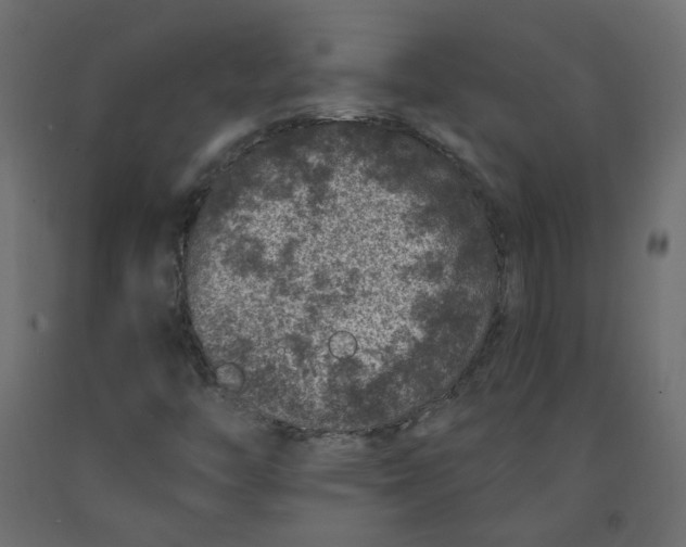 X0000092081446200710101030