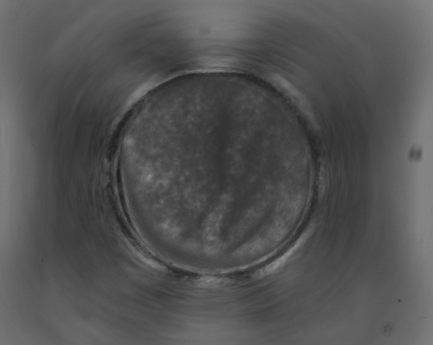 X0000092081449200710101030