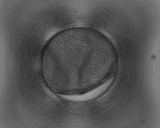 X0000092081450200710101030