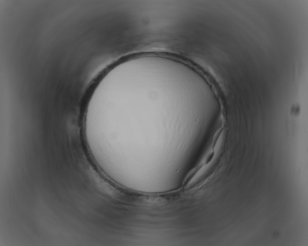 X0000092081452200710101030