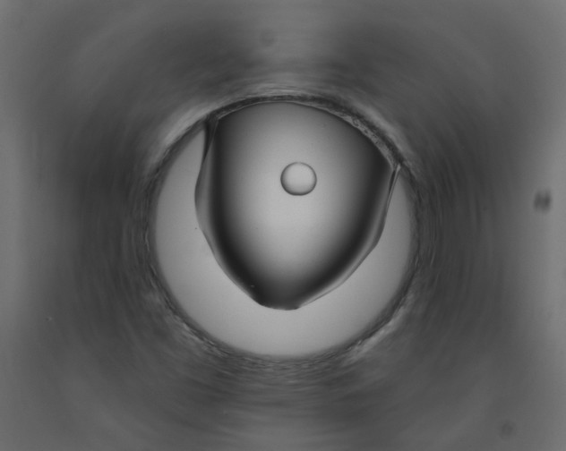 X0000092081453200710101030