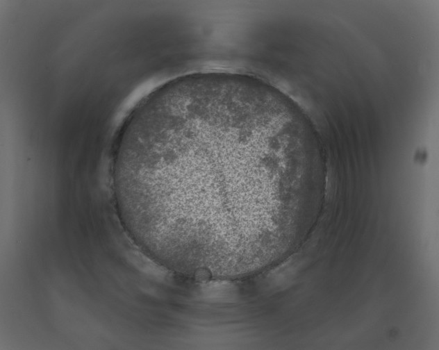 X0000092081454200710101030