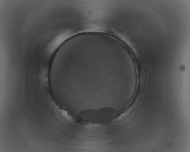 X0000092081455200710101030