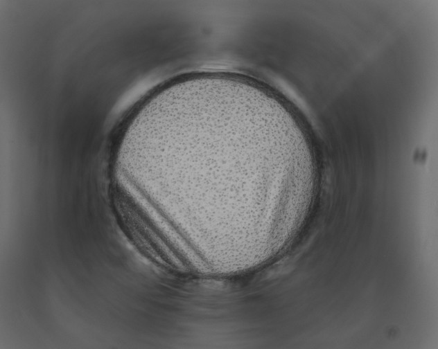 X0000092081456200710101030