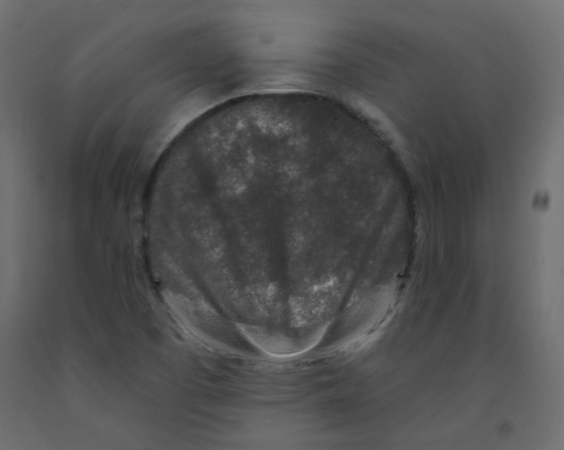 X0000092081457200710101030