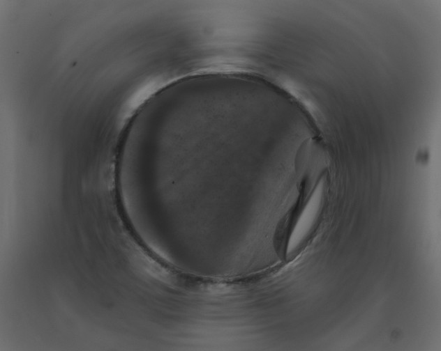 X0000092081459200710101030