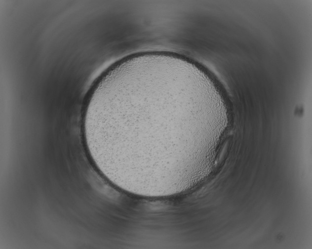 X0000092081460200710101030