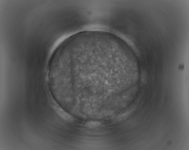 X0000092081462200710101030