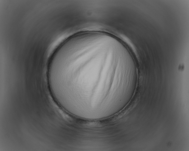 X0000092081464200710101030