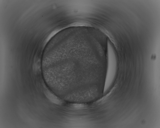 X0000092081465200710101030