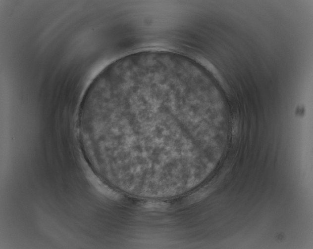 X0000092081466200710101030