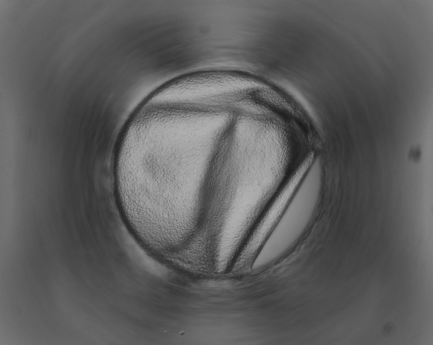 X0000092081468200710101030