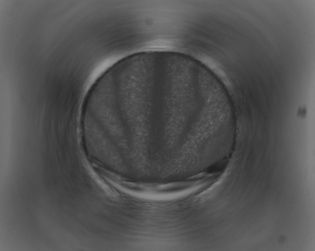 X0000092081469200710101030