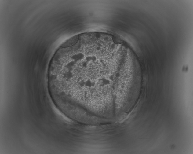 X0000092081471200710101030