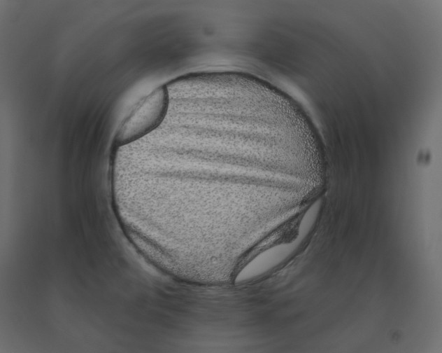 X0000092081472200710101030