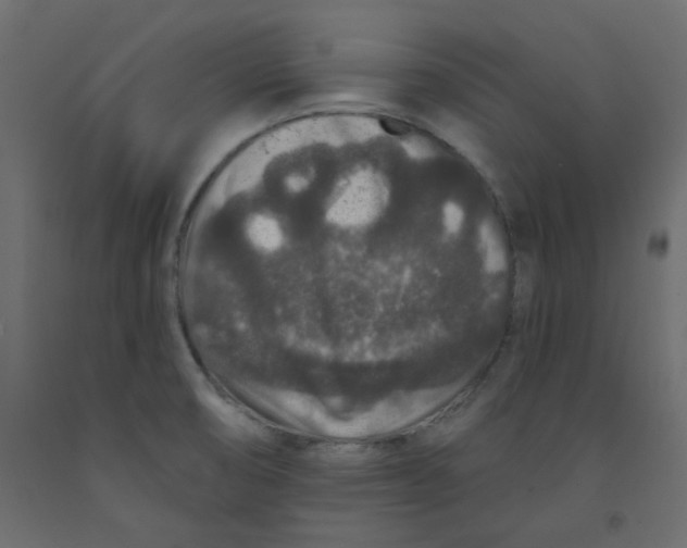 X0000092081474200710101030