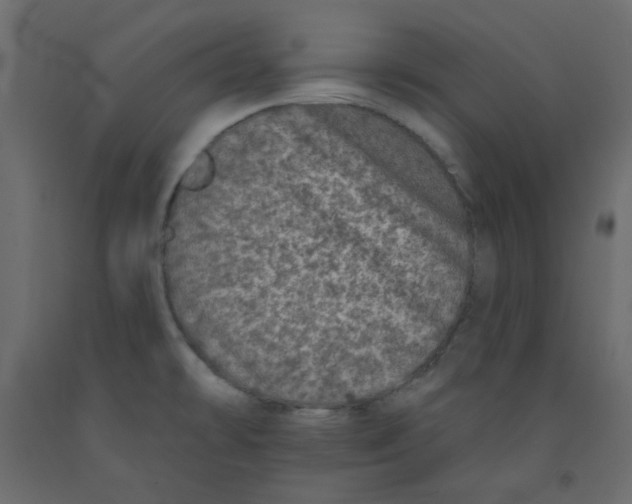 X0000092081478200710101030