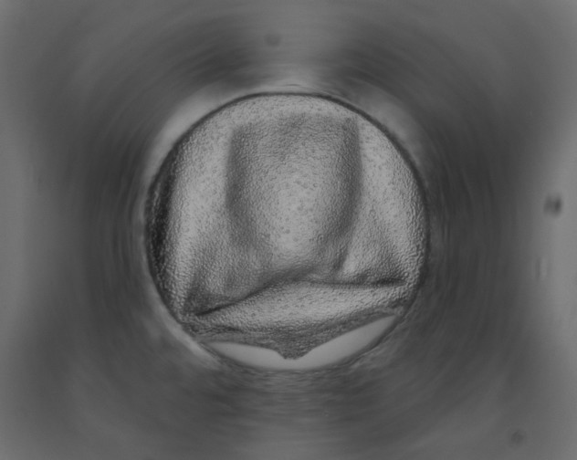 X0000092081480200710101030