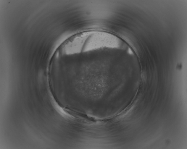 X0000092081482200710101030