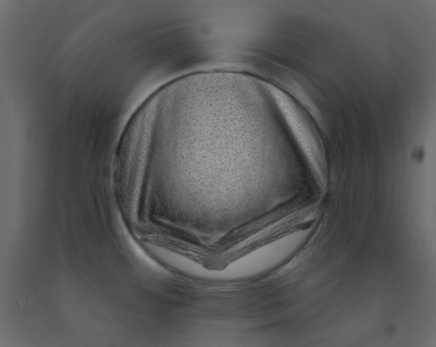 X0000092081484200710101029