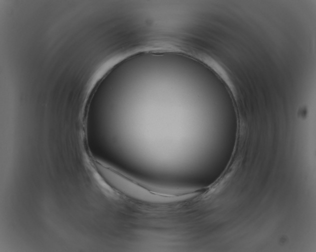 X0000092081485200710101029