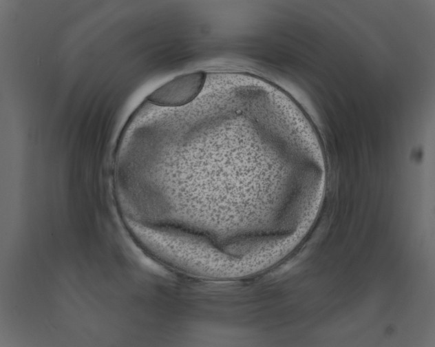 X0000092081486200710101029