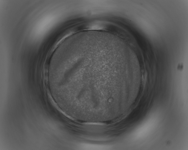 X0000092081487200710101029