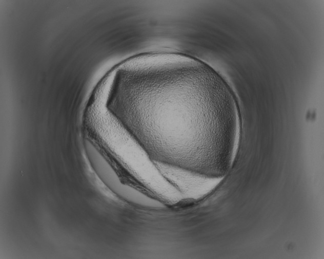 X0000092081488200710101029