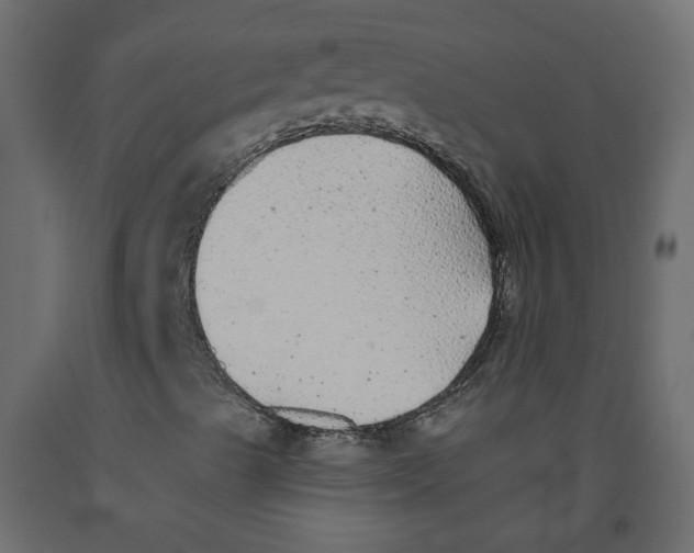 X0000092081489200710101029