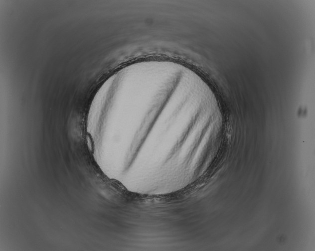 X0000092081490200710101029