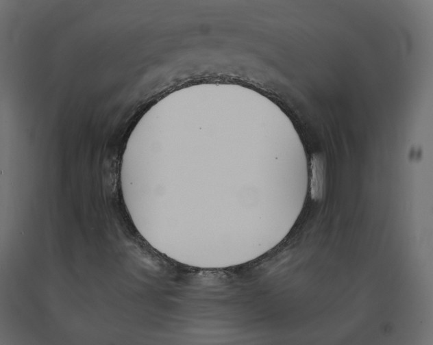 X0000092081491200710101029