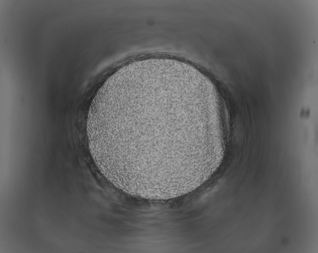 X0000092081494200710101029