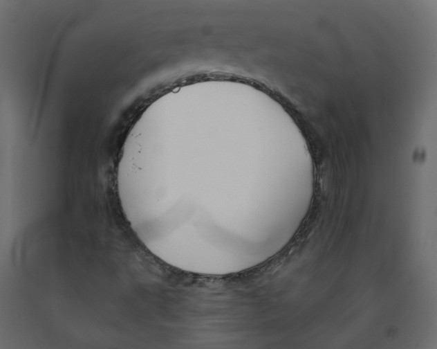 X0000092081495200710101029