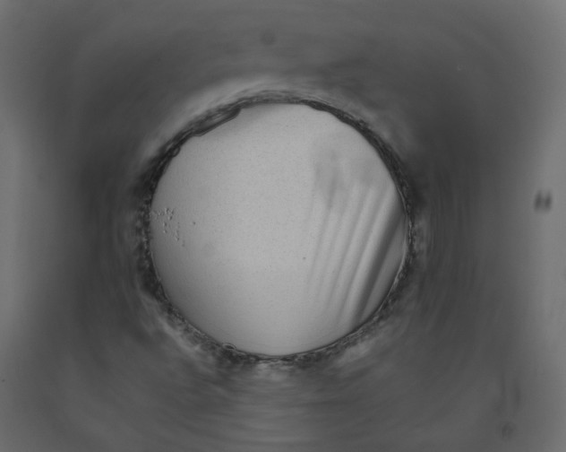 X0000092081496200710101029