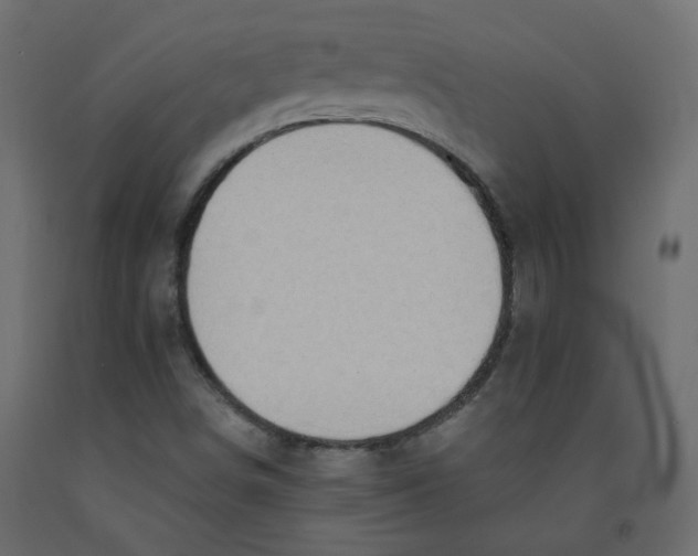 X0000092081498200710101029