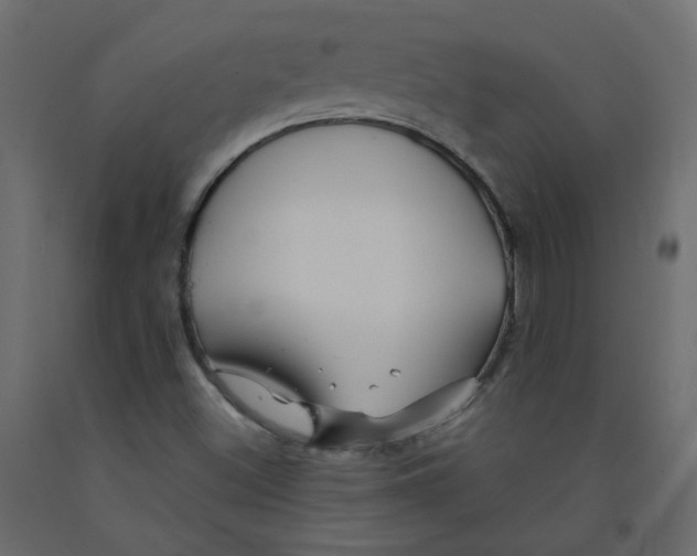 X0000092081500200710101029