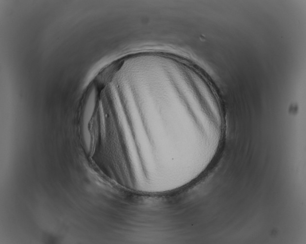 X0000092081501200710101029