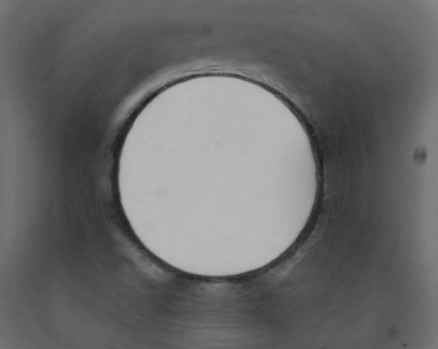 X0000092081502200710101029