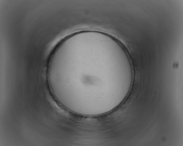 X0000092081503200710101029