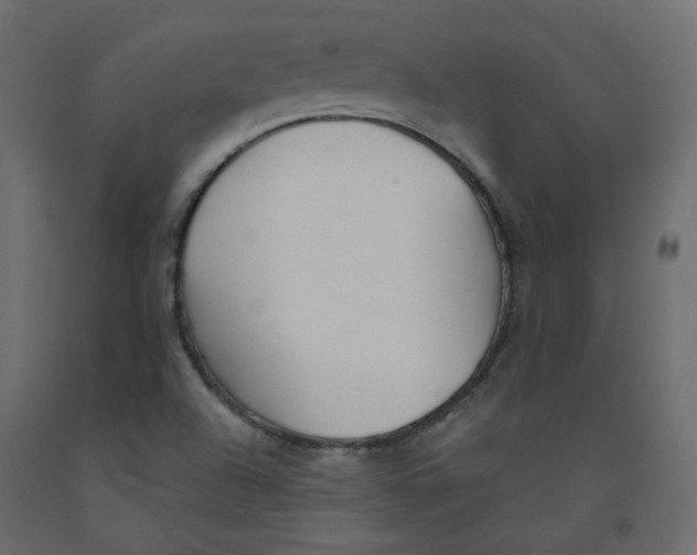 X0000092081504200710101029