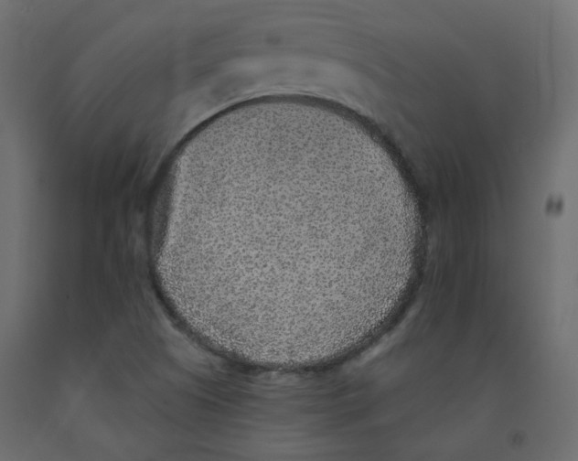 X0000092081505200710101029