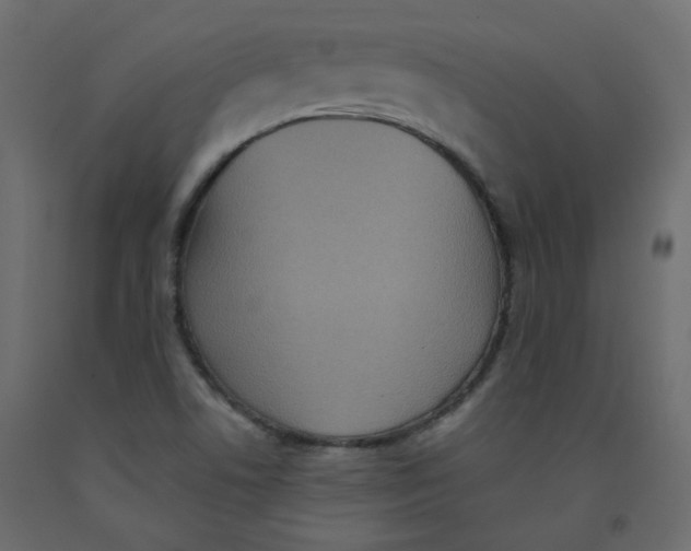 X0000092081506200710101029