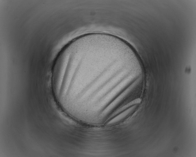 X0000092081507200710101029