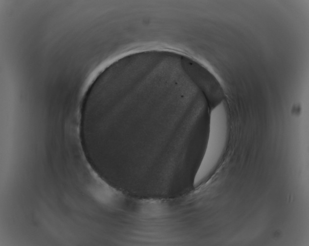 X0000092081508200710101029