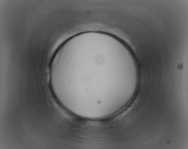 X0000092081509200710101029