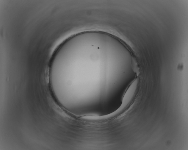 X0000092081510200710101029