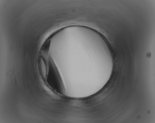 X0000092081511200710101029