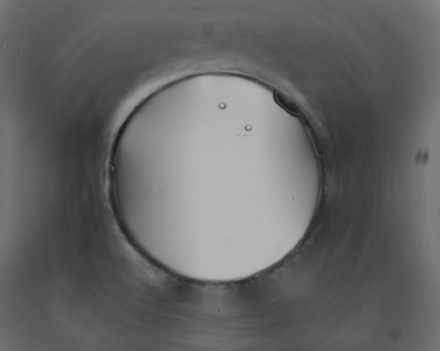 X0000092081512200710101029