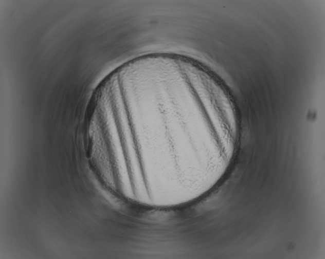 X0000092081513200710101029